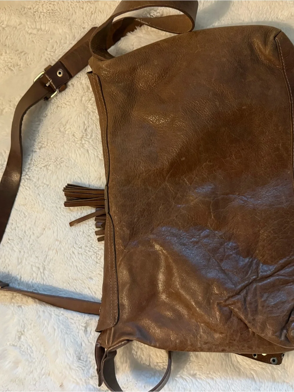 Prune Brown Studded Hobo Bag